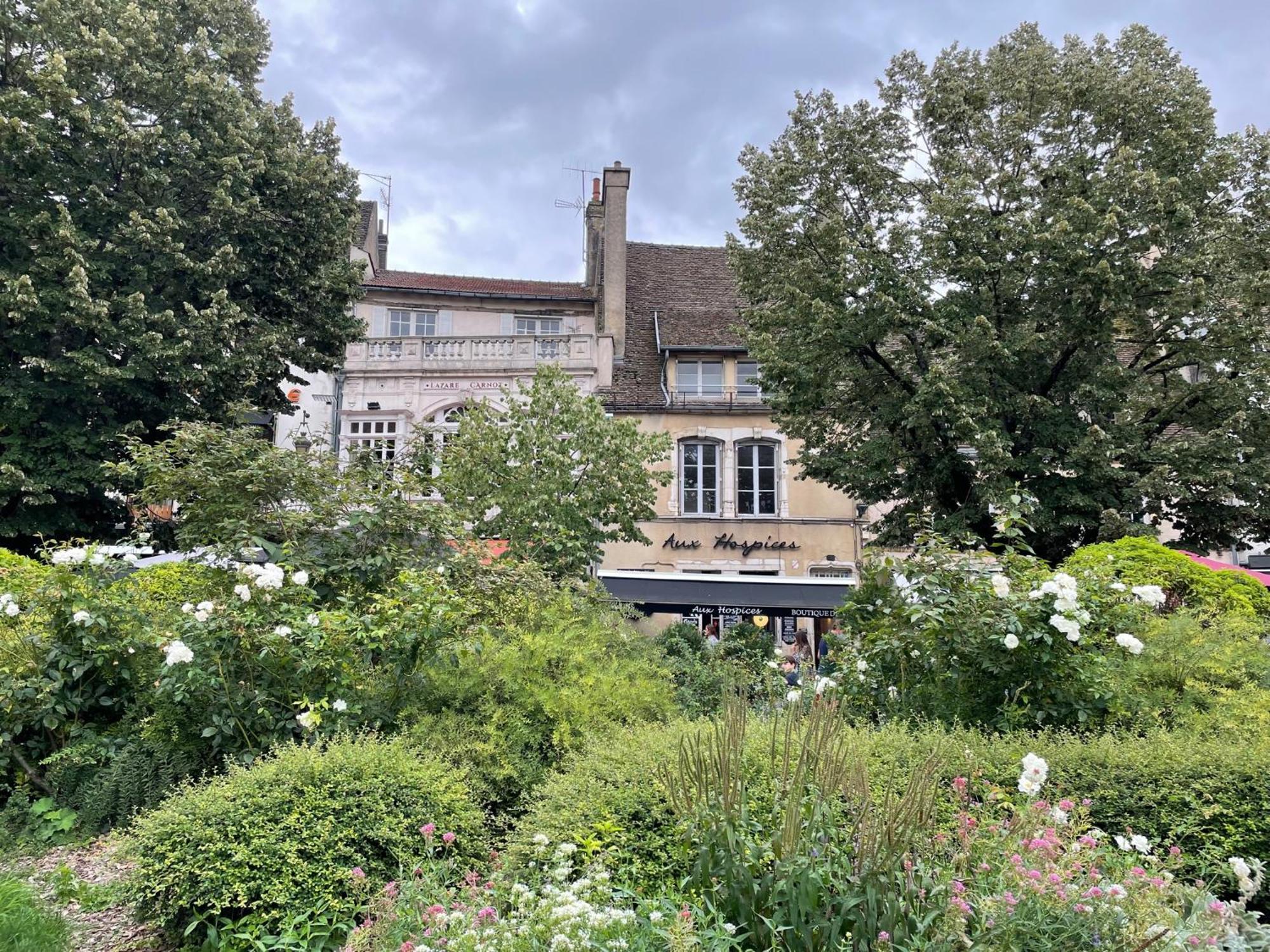 ביון Le Jardin Des Verottes מראה חיצוני תמונה